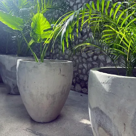 Bau Tulum Hotel