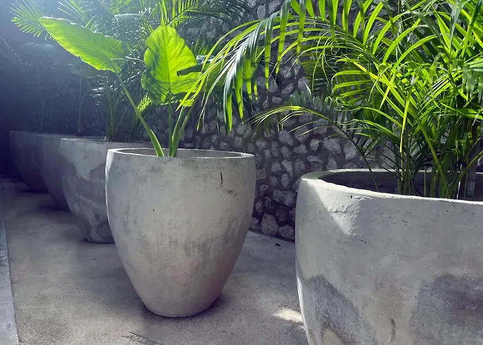 Hotel Bau Tulum